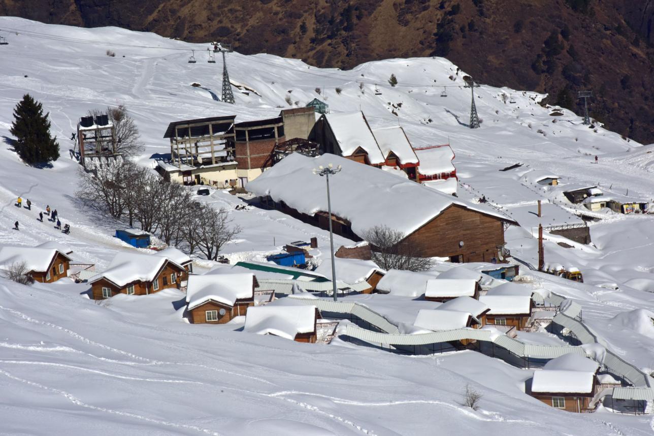 Auli