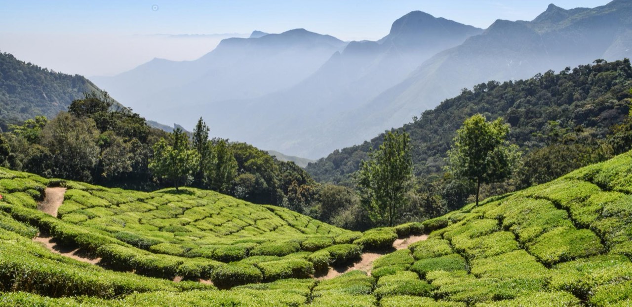 Coorg